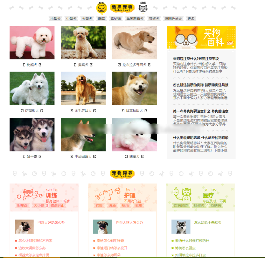 帝国cms宠物资讯平台网站源码分享 含手机版 带采集功能等(图1)